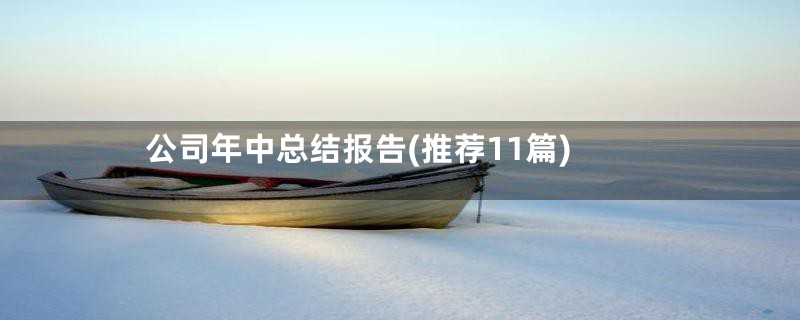 公司年中总结报告(推荐11篇)