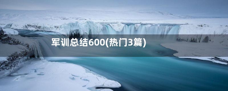 军训总结600(热门3篇)