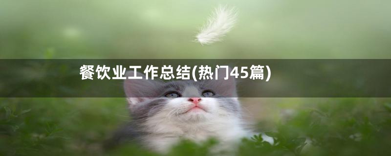 餐饮业工作总结(热门45篇)