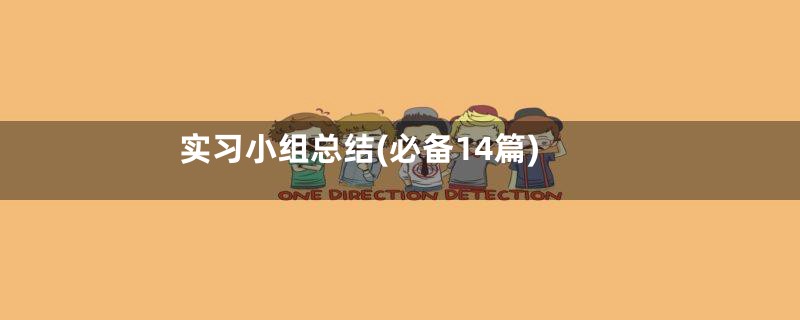 实习小组总结(必备14篇)