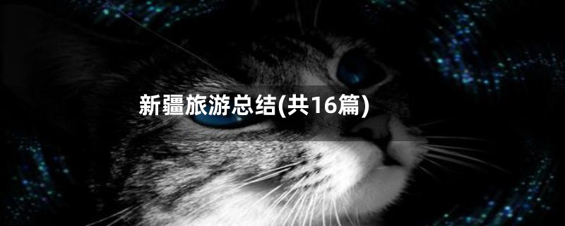 新疆旅游总结(共16篇)