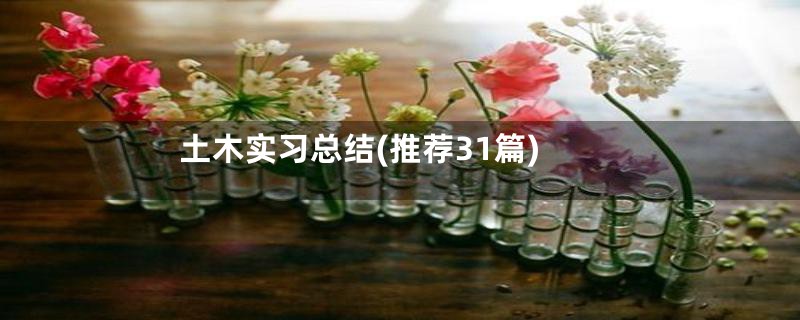 土木实习总结(推荐31篇)