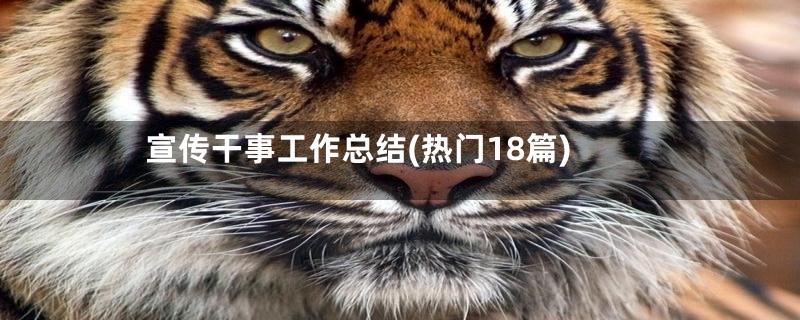 宣传干事工作总结(热门18篇)