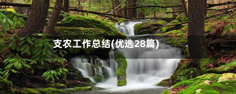支农工作总结(优选28篇)