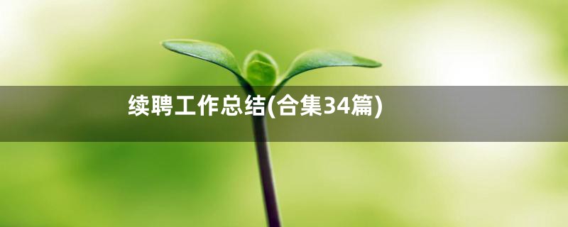 续聘工作总结(合集34篇)