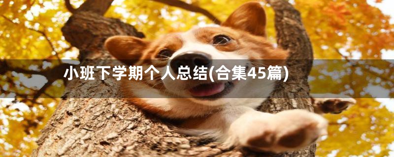 小班下学期个人总结(合集45篇)