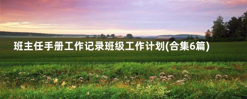 班主任手册工作记录班级工作计划(合集6篇)