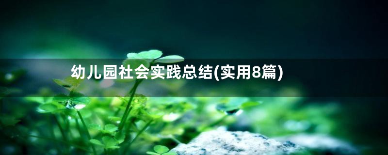 幼儿园社会实践总结(实用8篇)