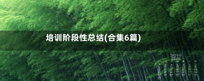 培训阶段性总结(合集6篇)