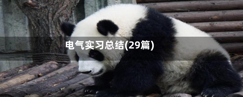 电气实习总结(29篇)