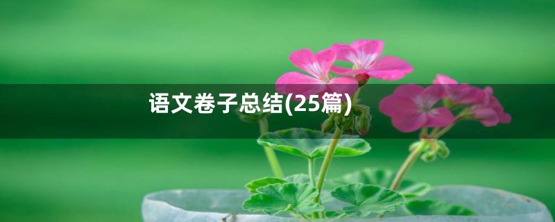 语文卷子总结(25篇)