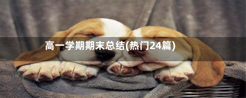 高一学期期末总结(热门24篇)