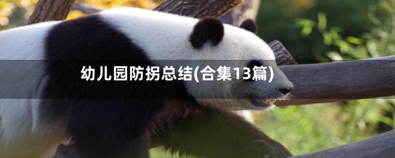 幼儿园防拐总结(合集13篇)