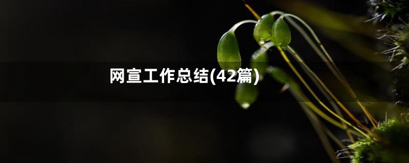 网宣工作总结(42篇)