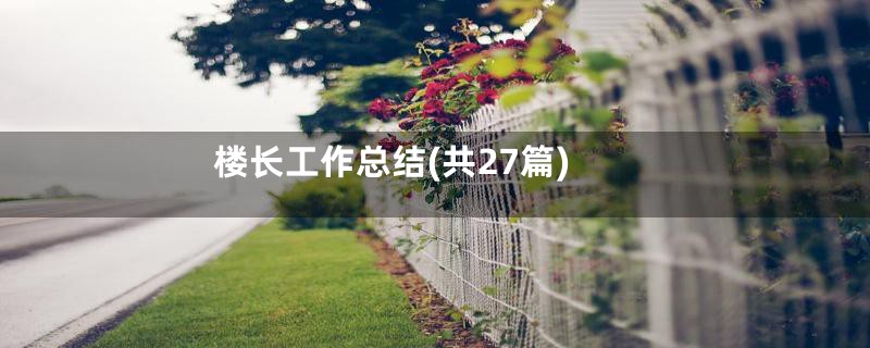 楼长工作总结(共27篇)