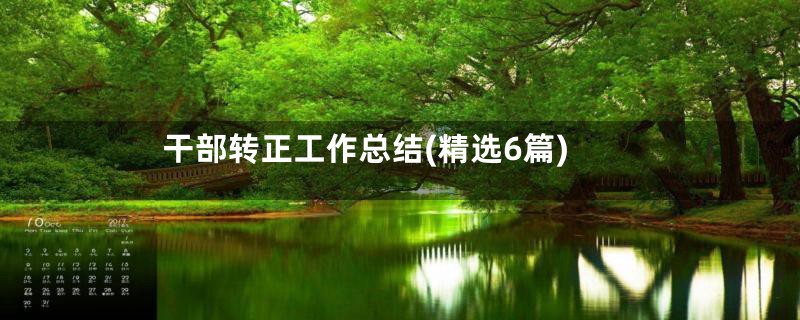 干部转正工作总结(精选6篇)