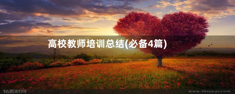高校教师培训总结(必备4篇)