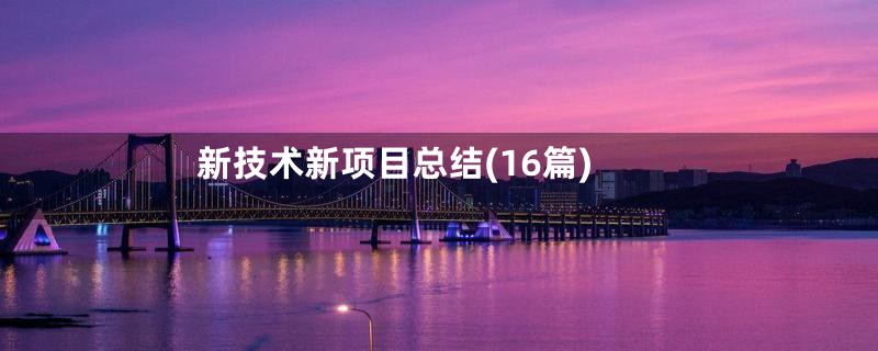 新技术新项目总结(16篇)