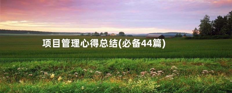 项目管理心得总结(必备44篇)