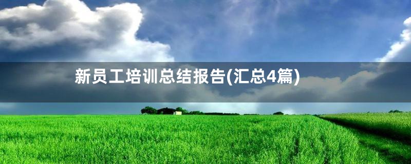新员工培训总结报告(汇总4篇)