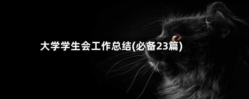 大学学生会工作总结(必备23篇)
