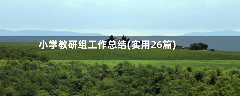 小学教研组工作总结(实用26篇)