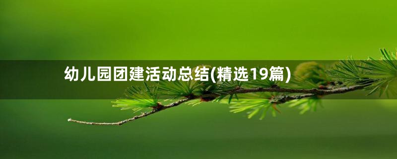 幼儿园团建活动总结(精选19篇)