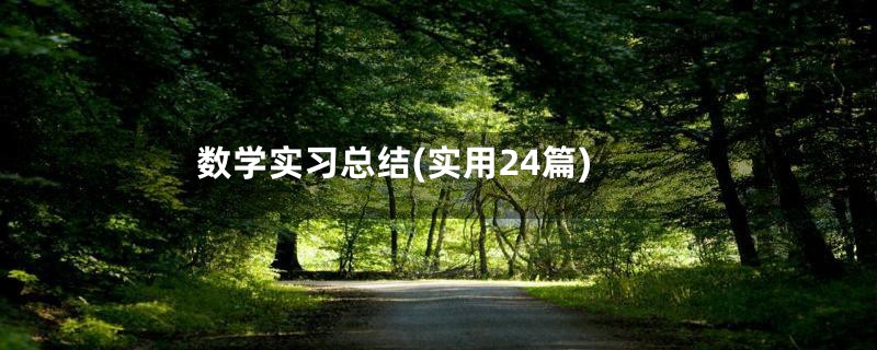数学实习总结(实用24篇)