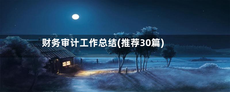 财务审计工作总结(推荐30篇)