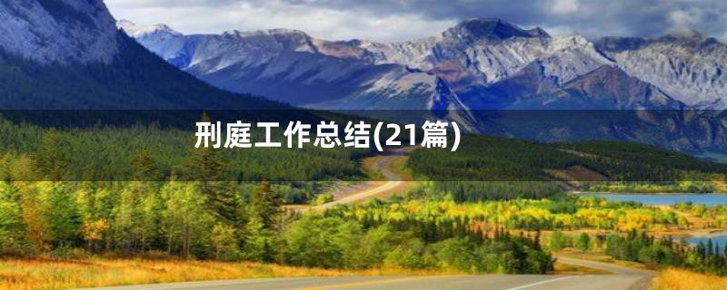 刑庭工作总结(21篇)