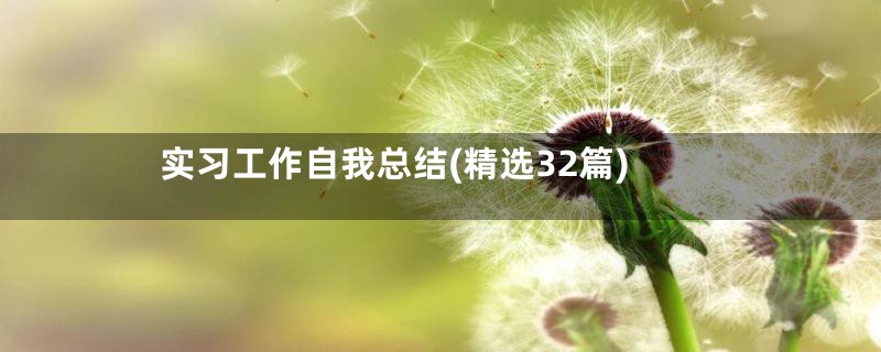 实习工作自我总结(精选32篇)