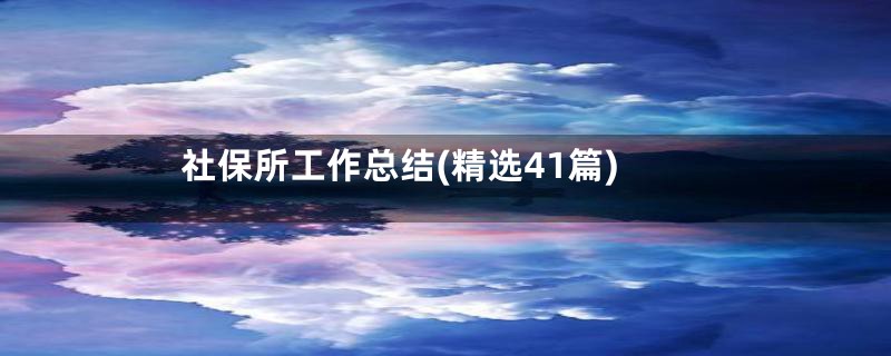 社保所工作总结(精选41篇)