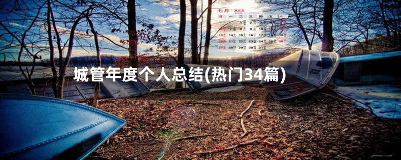 城管年度个人总结(热门34篇)