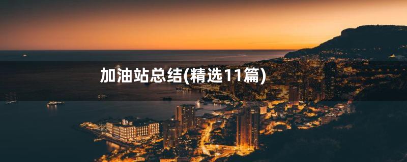 加油站总结(精选11篇)