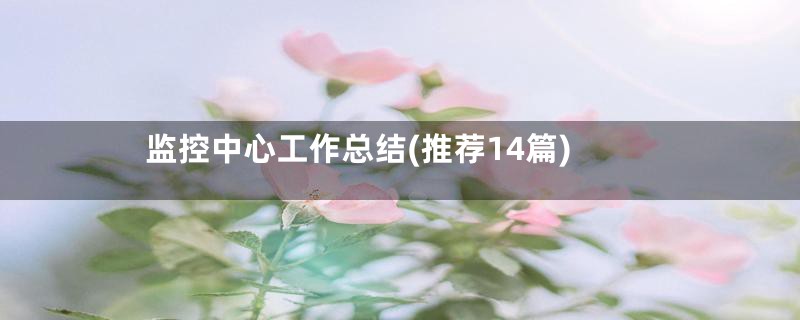 监控中心工作总结(推荐14篇)