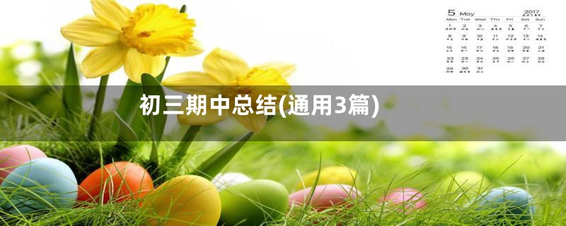 初三期中总结(通用3篇)