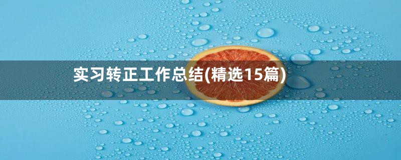 实习转正工作总结(精选15篇)