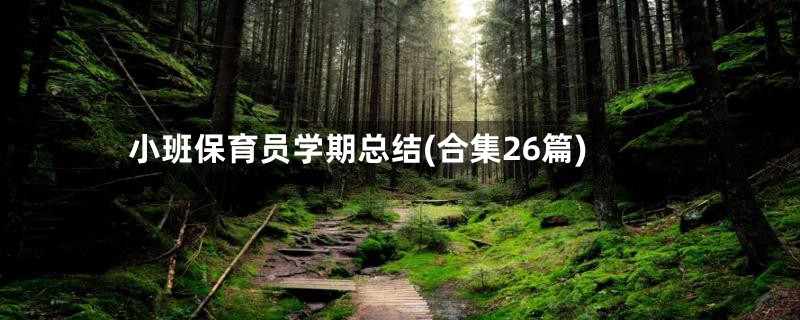 小班保育员学期总结(合集26篇)