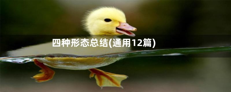 四种形态总结(通用12篇)