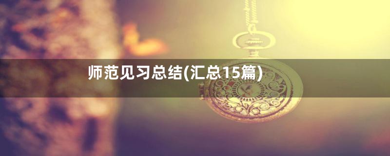师范见习总结(汇总15篇)