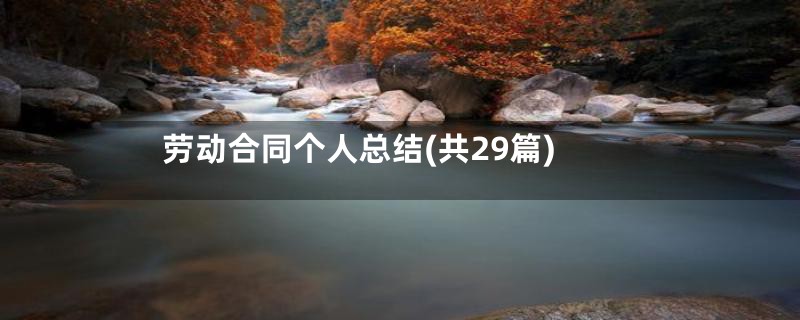 劳动合同个人总结(共29篇)