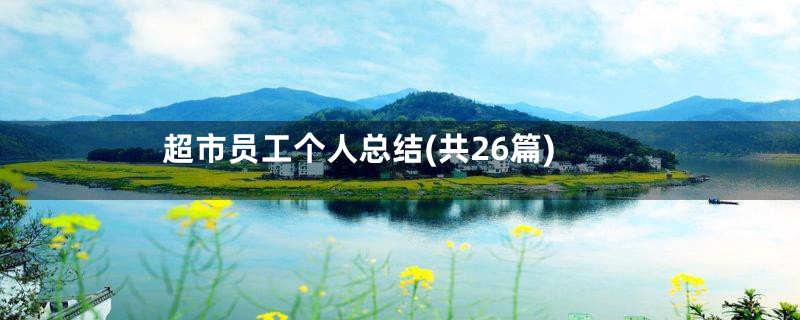 超市员工个人总结(共26篇)