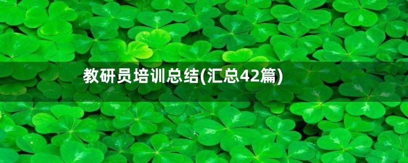 教研员培训总结(汇总42篇)
