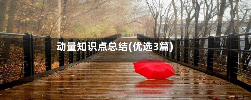 动量知识点总结(优选3篇)