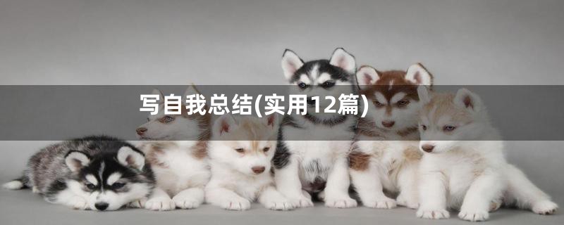 写自我总结(实用12篇)