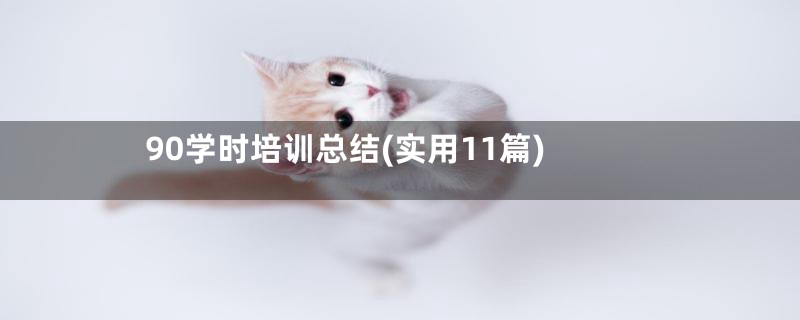 90学时培训总结(实用11篇)