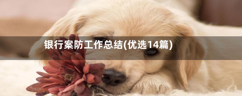 银行案防工作总结(优选14篇)