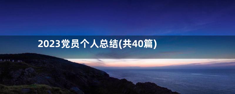2023党员个人总结(共40篇)