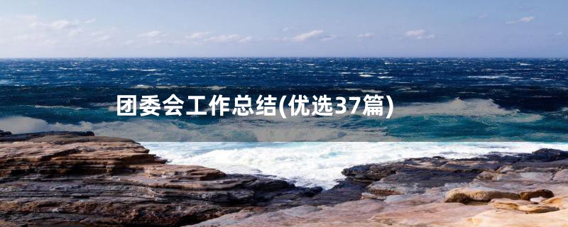 团委会工作总结(优选37篇)