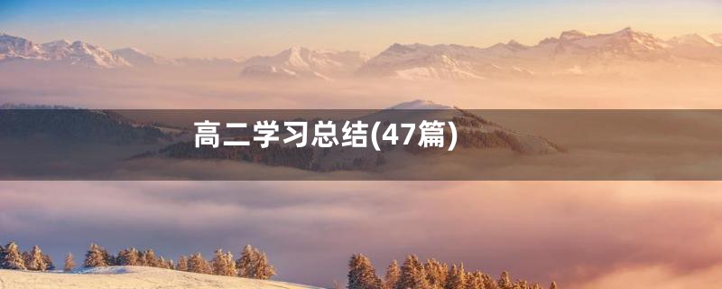 高二学习总结(47篇)